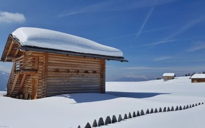 Sull’Alpe di Rodengo per l’ultima neve