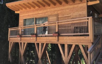 Casa sull’albero: la Tree House in Val di Fassa