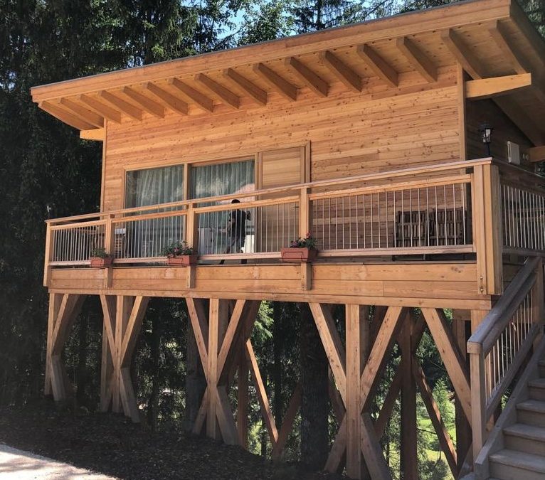 Tree House: la prima casa sull’albero in Trentino