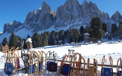 L’emozione di slittare sulla neve in Trentino Alto Adige