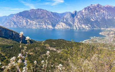 A Malga Zures, trekking vista Garda