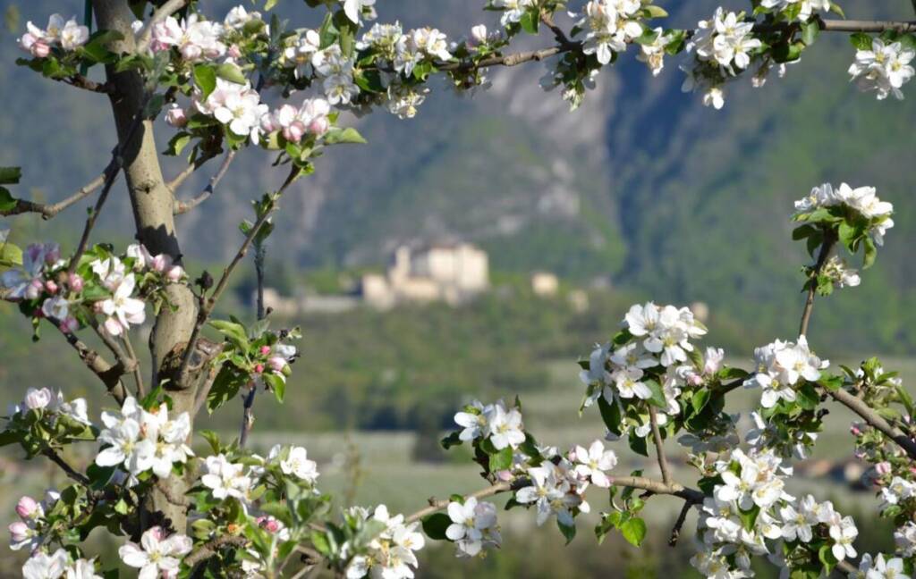 eventi primavera Trentino Alto Adige sagre fiere festival 