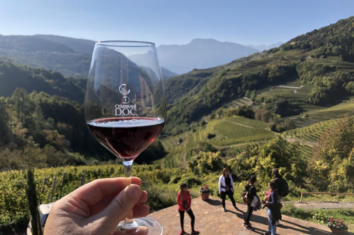 Festival e rassegne di vino in Trentino Alto Adige