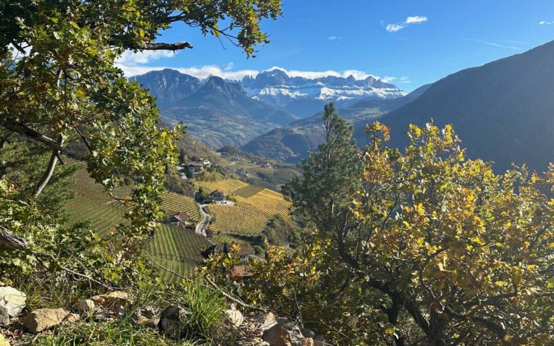 Sentiero del vino Rebe a Bolzano