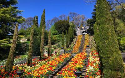 Giardini botanici: i cinque imperdibili di primavera