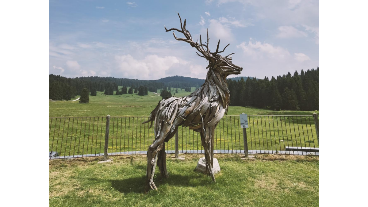 land art sculture giganti natura trentino alto adige vaia Martalar Franz Avancini