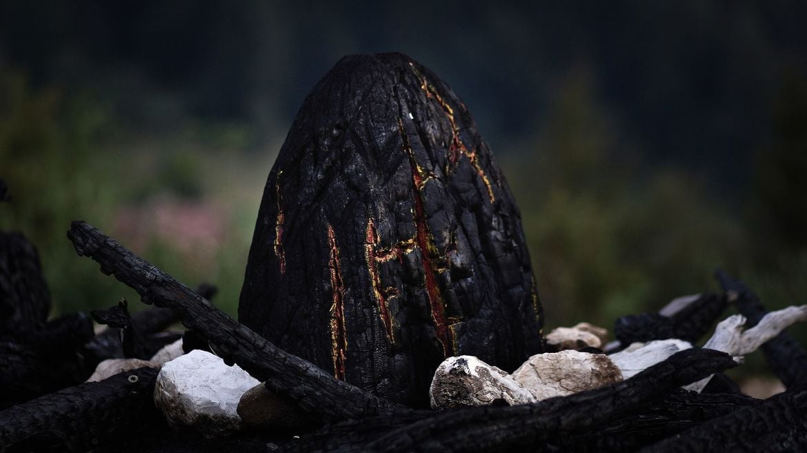 drago vaia trentino sculture giganti Martlar