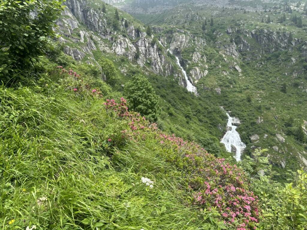 Rifugio Carè Alto Dante Ongari escursioni alta montagna trentino 