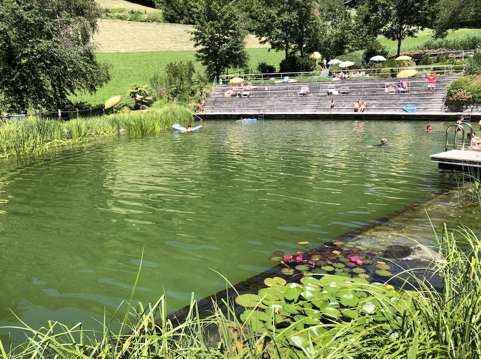 biolaghi ecopiscine trentino alto adige biologico ecosostenibile lago piscina