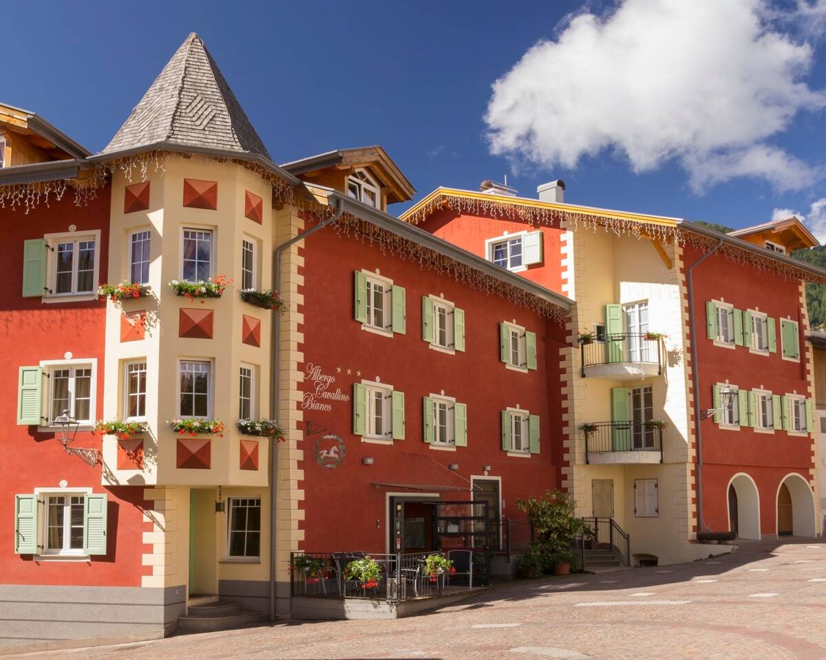 vacanze con il cane pet friendly hotel albergo Trentino Alto Adige