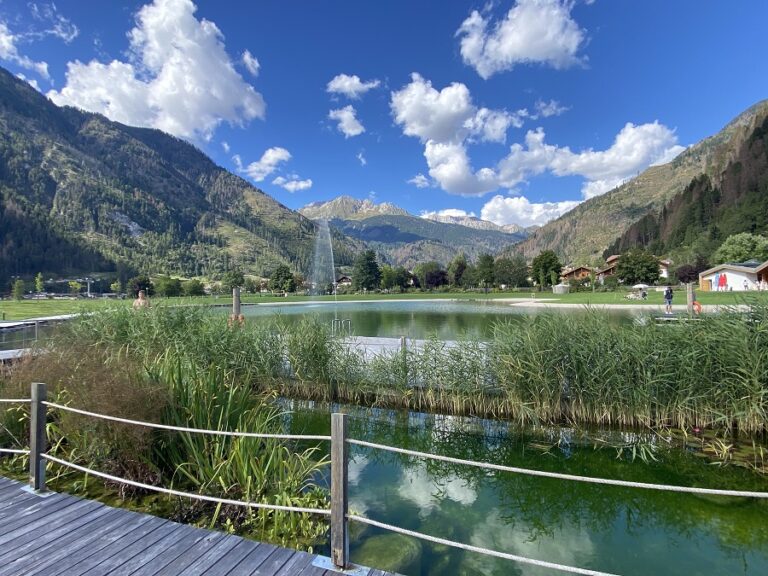 biolaghi ecopiscine laghi natura piscine trentino alto adige