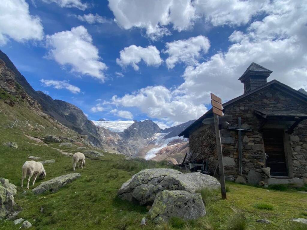 Rifugio Pio XI Ghiacciaio Palla Bianca Trentino Alto Adige escursioni