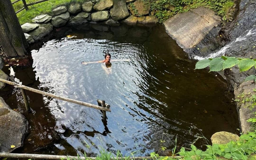 Bad Fallenbach: l’hotel con la sauna nel bosco