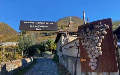 Sentiero del vino Rebe a Bolzano