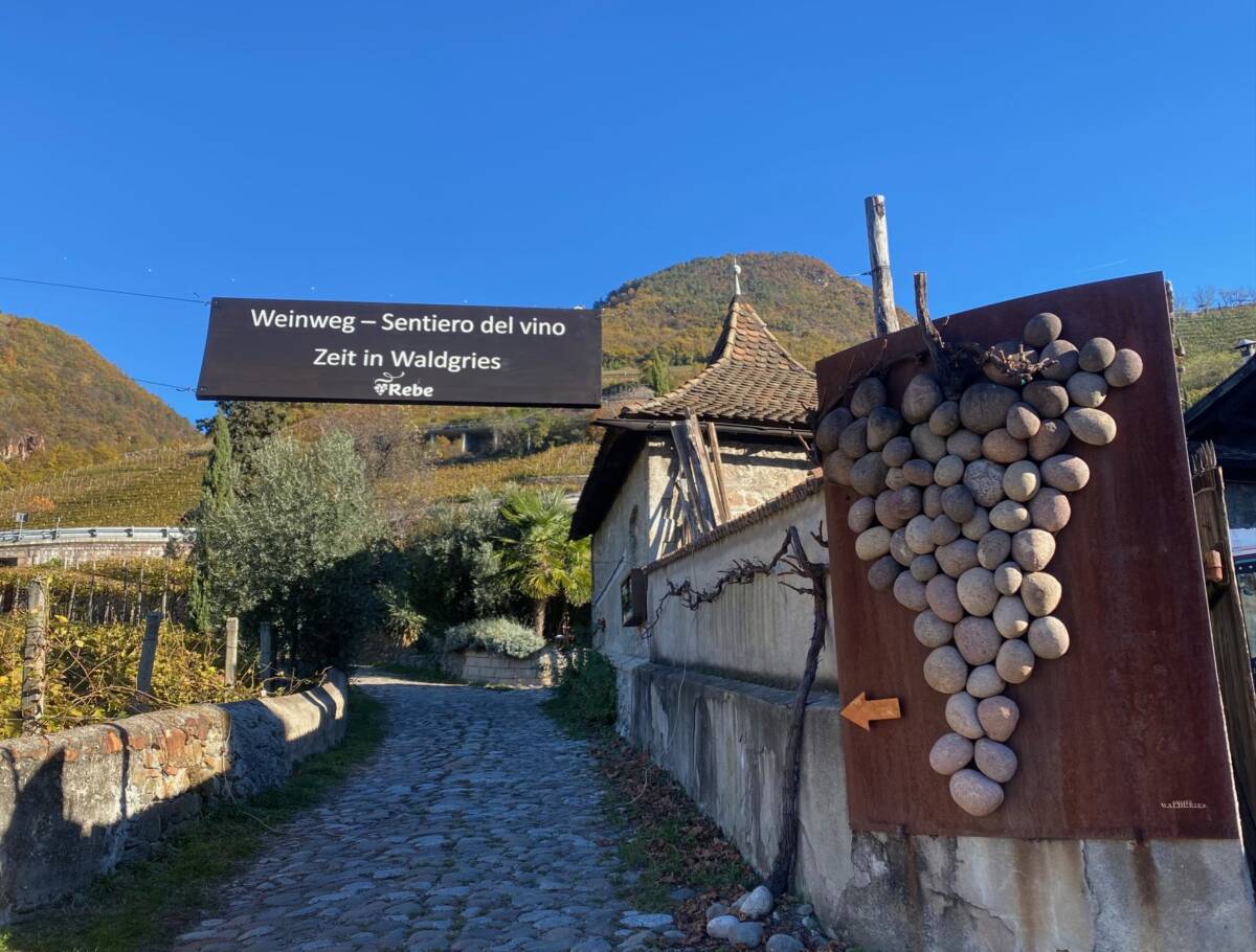 Sentiero del vino Rebe bolzano Alto adige