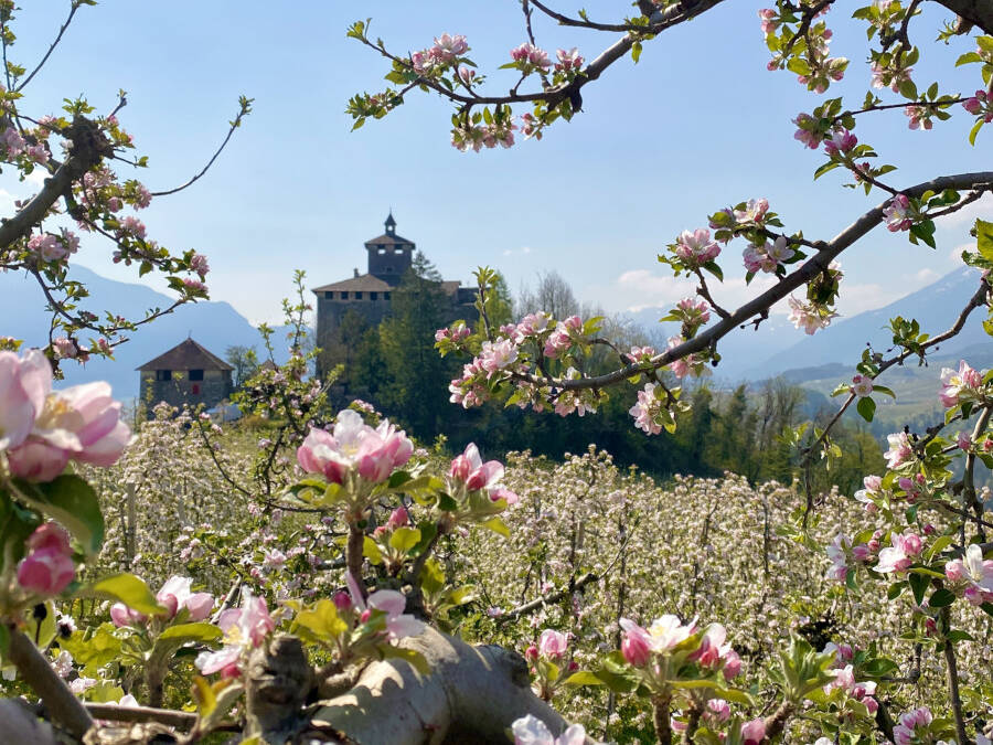 Eventi a maggio in Trentino Alto Adige