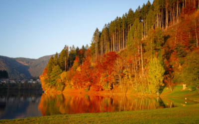 Foliage in Trentino Alto Adige: dove andare
