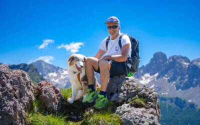 Vacanze con il cane: strutture pet friendly