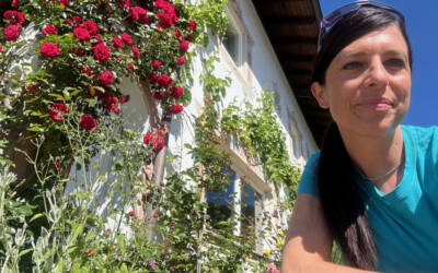 Steineggerhof: bike hotel bio e vegan