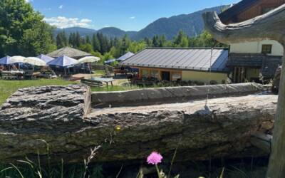Oberölgart: ristoro top sull’Alta via di Collepietra